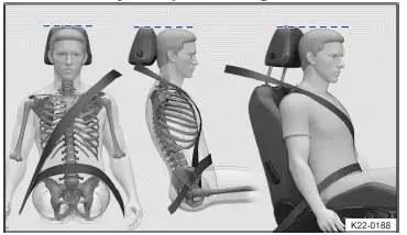 Fig. 1 Correct safety belt positioning and correct head restraint adjustment (general example).